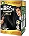 PIA Beauty Henna Hair Color Kit – Black – 30 Minute Ayurvedic Hair Dye with Serum – 100% Grey Coverage |Color mix+ Shine Serum | For Men & Women (Black, 50)