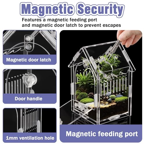 Image of Acrylic Jumping Spider Enclosure with Magnetic Latch