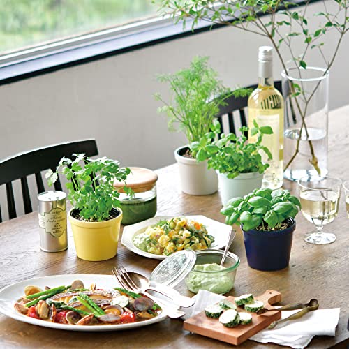 聖新陶芸 栽培セット レシピ付き栽培セット +Recipe ミント GD-95101 水色 8枚目