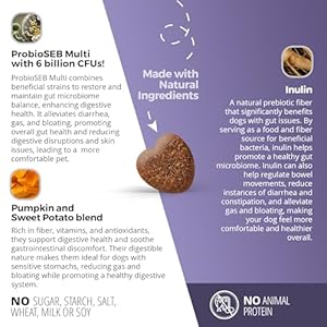 Anp advanced prebiotic  probiotic natural chews for dogs  no animal proteins gut flora health clinically studied proseb multi® for digestive health including diarrhea relief and bowel stability   cucciolini doodles