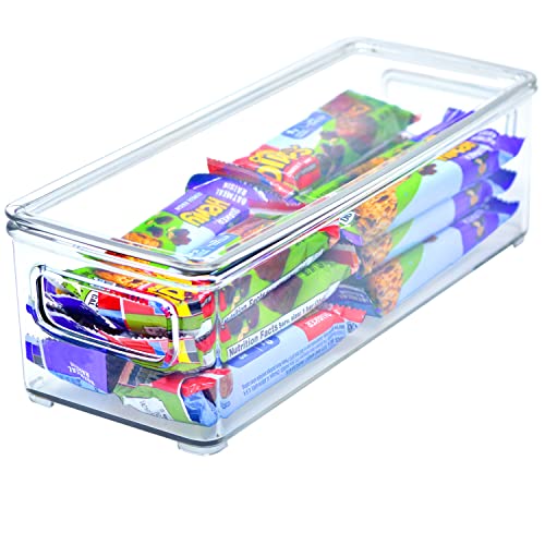 Youngever 2 Pack Hard 25CM x 10CM x 7.5CM Re-uable Plastic Storage Organiser Container Bins with Lids