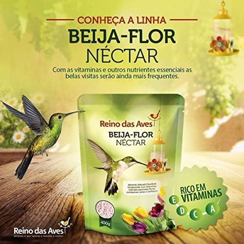 3 Néctar Beija Flor 400g Reino das Aves