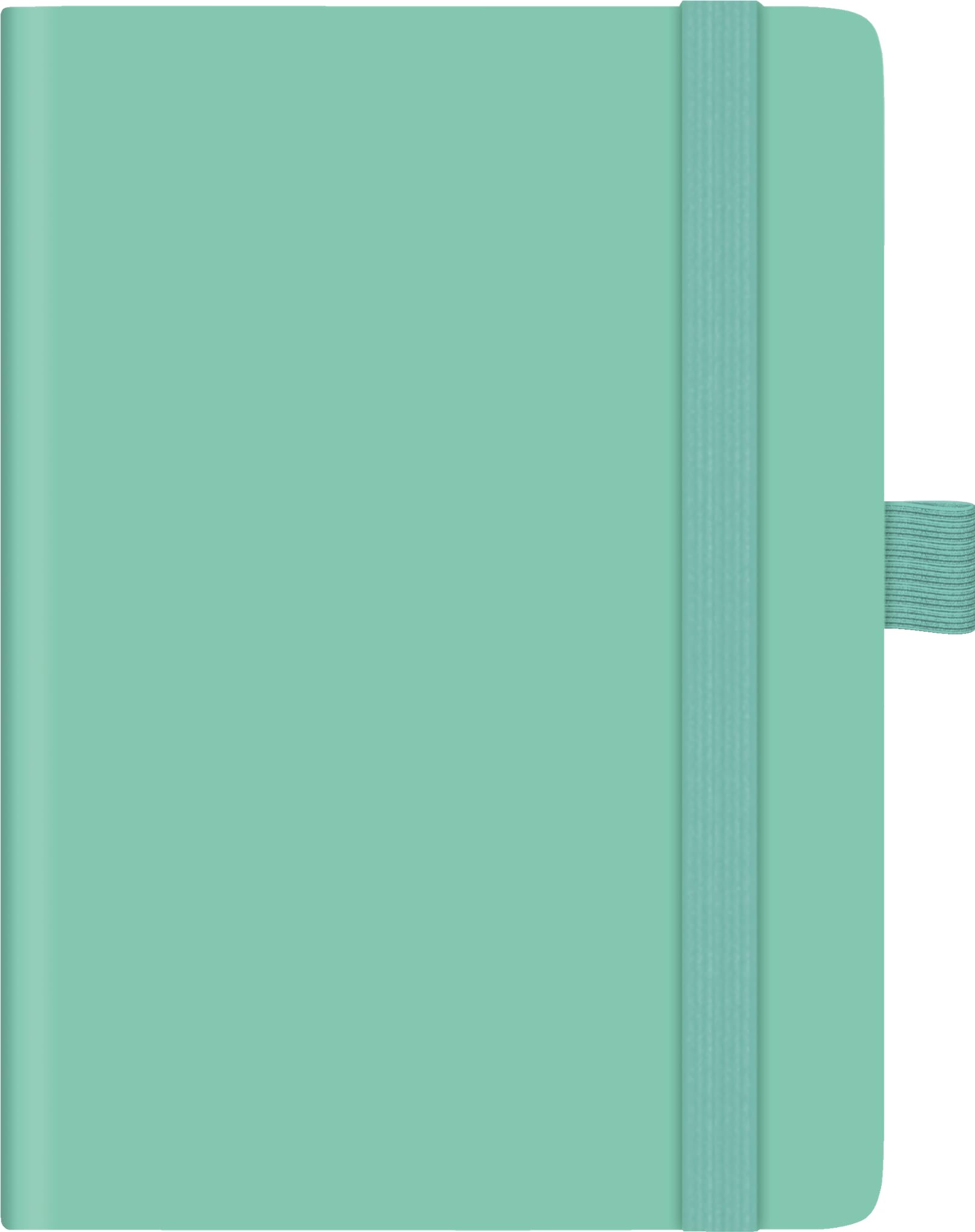 BRUNNEN 1073266527 Taschenkalender Kompagnon Mod. 732 66 2027 A6, Kunststoff, hellgrün