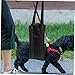 BESPORTBLE Dog Lift Sling for Dogs and Cats Portable Pet Rehabilitation Carrier Easy to Use Comfortable Design for and Outdoor Activities