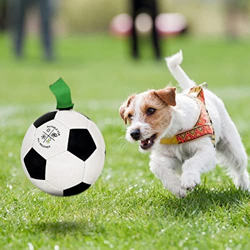 Linsition Giocattoli interattivi per Cani |