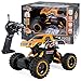 WZRYBHSD Maßstab 1:14 Ferngesteuerter Truck,batteriebetriebenes RC-Auto,RC-Truck 2,4 GHz Funkfernsteuerungsauto RC Monster Vehicle Truck Crawler 4WD Offroad für Jungen