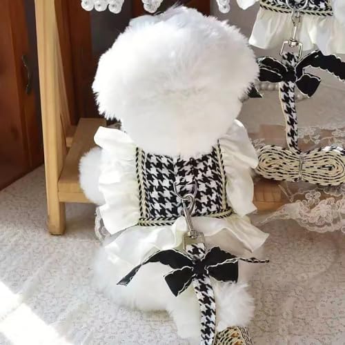  t ̕ xs-xl Pl `FbN s[XlC t@bV pW} ybgEFA  ^ ^ _炩m hX XJ[g ʋC TVc hbOEFA Lm Eѕی ybgm y ʋC  