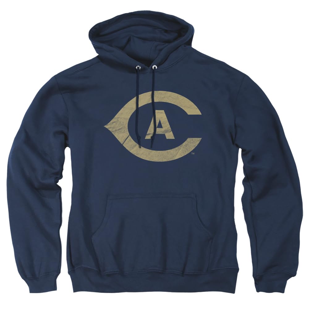 LOGOVISION Official Collegiate Distressed Primary Logo Adult Pullover Hoodie Collection — view 406