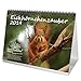 Calendrier 2019 « Eichhörnzauber »- Format DIN A5 - - Écureuils - Bois - Nature - Animal - Vie sauvage - Coffret cadeau avec 1 carte de vœux et 1 carte de Noël - Édition Seelenzauber