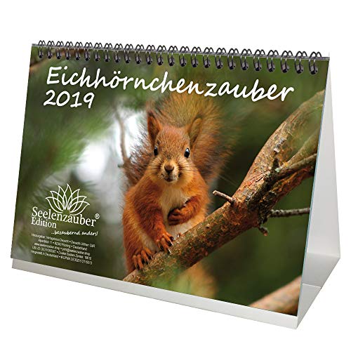 Télécharger Calendrier 2019 « Eichhörnzauber »- Format DIN A5 - - Écureuils - Bois - Nature - Animal - Vie s PDF