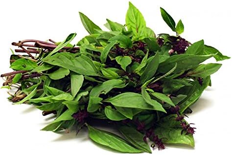 Seedline Thai Sweet Basil Seeds (1,000 Seeds) - Herb Heirloom Vegetable