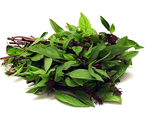 Seedline Thai Sweet Basil Seeds (1,000 Seeds) - Herb Heirloom Vegetable Seedline Thai Sweet Basil Seeds (1,000 Seeds) - Herb Heirloom Vegetable