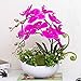 Produktbild LAleNi Kunstpflanze Orchidee Künstliche Blumen aus Kunststoff Deko Kunstbulme mit Übertopf Garten Balkon Wohnzimmer Hochzeit (Orchideen Pflanze/Phalaenopsis)-vc17