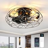 XSXUDODP Ventilatore da Soffitto Industriale con Luci e Telecomando, Gabbia in Vintage Ventilatore da Soffitto con Luce 40cm per Camera da Letto Soggiorno, Lampadina E14, Nero