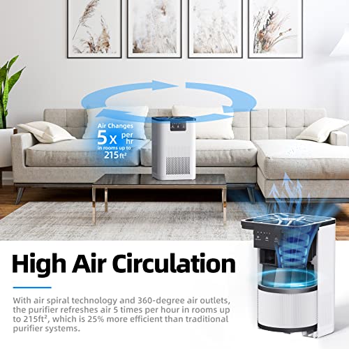 https://m.media-amazon.com/images/I/51B2GV+DffL._SL500_.jpg