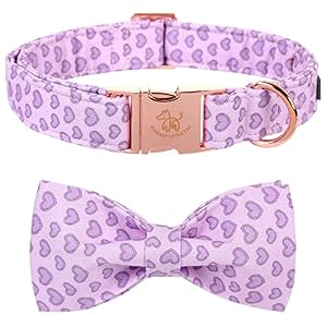 Elegant little tail Dog Collar with Bow Bow Tie Dog Collar Cute Dog Bowtie Pet Gift Dog Collar for Large Medium Small Dogs