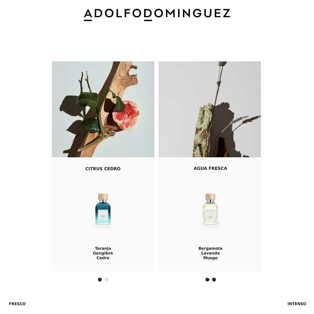 Amazon.com: Adolfo Dominguez Agua Fresca Eau de Toilette 4.1 Fl Oz