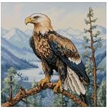 Kit de punto de cruz de águila calva, tela aida de 14 hilos, hilo 100% algodón, 150 x 150 puntadas, 26 x 26 cm