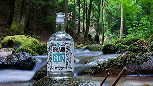 Breaks PREMIUM Dry Gin - Geschenk Set - Ausgezeichneter Gin mit Lavendel & frischen Zitronen - Mild fruchtige Note… – Bild 7