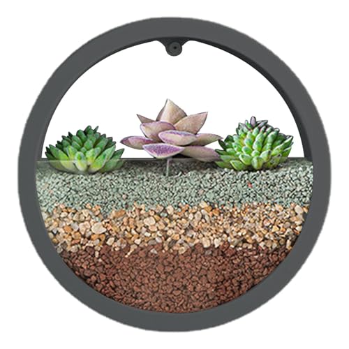 Maceta de pared redonda, florero de maceteros de pared,Maceta con jarrón de pared transparente | Florero de pared circular, macetas para flores de interior, florero montado en la pared para plantas de