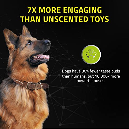 Playology Dog Balls For Medium And Large Dogs (10Lbs & Up) 2-Pack - Dog Ball For Aggressive Chewers - Squeaky Toy, Engaging All-Natural Chicken Scented - Non-Toxic Rubber Dog Ball Toys #TOP3