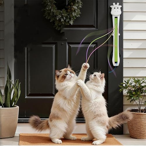 Gato eléctrico automático y juego entrenamiento ejercicio interior 3