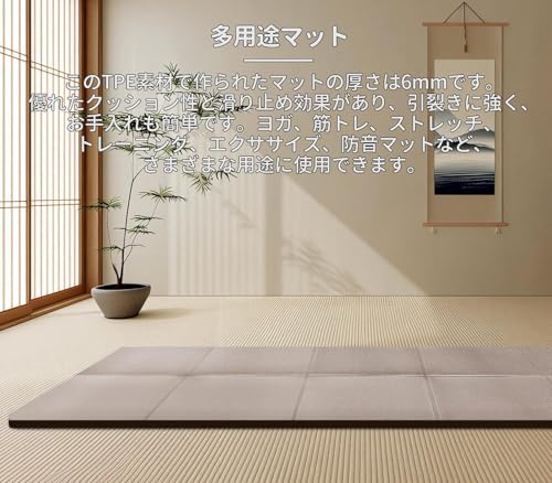 Taimonik ヨガマット の商品画像 3