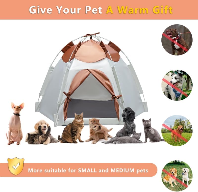 https://m.media-amazon.com/images/I/51B2QUKS4sL._AC_.jpg