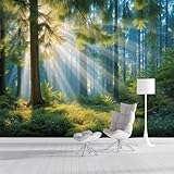 Papier Peint Panoramique Sans Couture Pour Un Effet Spectaculaire: Transformez Vos Murs Avec Ce Papier Peint Panoramique De 250 × 175 Cm, Composé De 5 Panneaux De 50 × 175 Cm Parfaitement Ajustés. Les Bandes S’assemblent Sans Aucune Rupture Pour Créer Une Fresque Murale Continue Et Harmonieuse, Idéale Pour Le Salon, La Chambre Ou Le Bureau. Apportez Immédiatement à Votre Intérieur Une Atmosphère Naturelle, Apaisante Et Moderne.