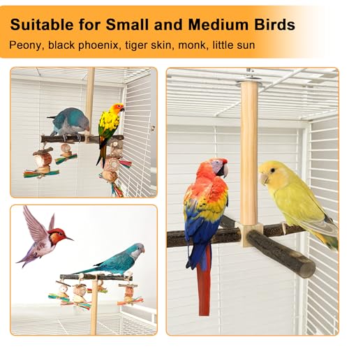 Image of Rotating Parrot Perch Stand with Chew Toy - Natural Wooden Bird Cage Accessories, Bird Stand with Chew Toys and Exercise Wheels, Natural Wooden Perch Stand for Small and Medium Sized Birds