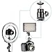 Neewer 14 inches Undimmable Fluorescent Ring Light Kit: 400W 5500K Ring Light, 75 inches Light Stand, and Hot Shoe Adapter for Makeup, Youtube Video