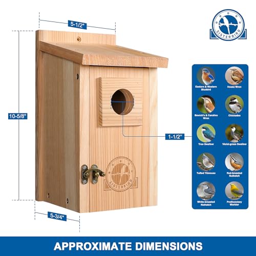 Bluebird-Houses-for-Outside-Blue-Bird-Houses-for-Outdoors-Premium-Bird-House-Pack-of-2-Bluebird-House-Wooden-Birdhouses-Kits-for-Adults-for-Durable-Yard-Decor Bluebird Houses for Outside Blue Bird Houses for Outdoors Premium Bird House Pack of 2 Bluebird House Wooden Birdhouses Kits for Adults for Durable Yard Decor