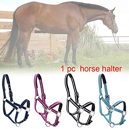 Horse Halter Durable Comfortable Thickened Leather Padded Adjustable Crown & Chin Strap #TOP5