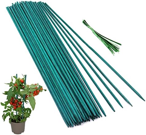 50 Pcs Plant Sticks Green Plant Stakes, Plant Support Garden Stakes for Indoor and Outdoor Plants, GAGINANG Sturdy Garden Wood Bamboo Sticks, Floral Plant Stakes for Garden Potted Plants（18 Inches）