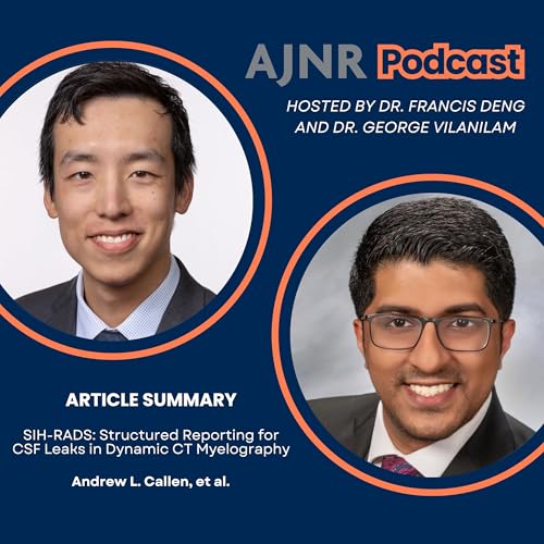 SIH-RADS: Structured Reporting for CSF Leaks in Dynamic CT Myelography