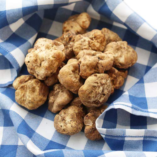 Miniatura 7 de Alma Gourmet Trufas blancas italianas frescas  4 oz (112 g)  Importadas frescas de Italia semanalmente  Cortador de trufas gratis incluido