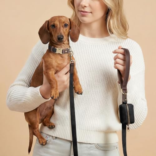 Image of Didog PU Leather Dog Collar for Small Dogs Puppy, Soft Lining, Black S