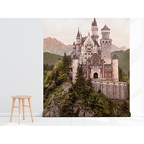 Papier peint latex muralo Neuschwanstein haute finition