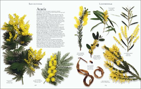 The Botanical Garden: Trees and Shrubs