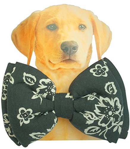 Dog Bow Tie by Lana, Quirky & Cool Dog Fashion Accessory with Easy to use Adjustable Strap (Medium to Large) - Black Floral (B078KY5J6T) Amazon Price History, Amazon Price Tracker