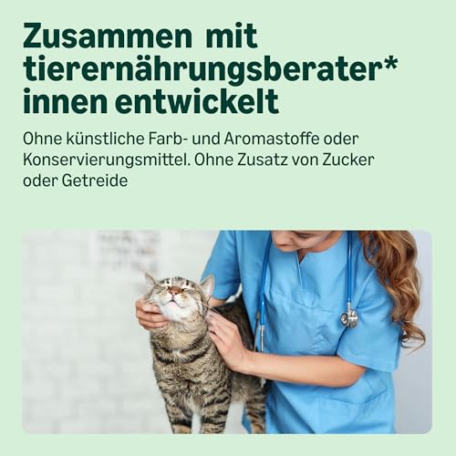 by Amazon Nassfutter für Katzen, Pastete mit Wild, 100g, 16er-Pack