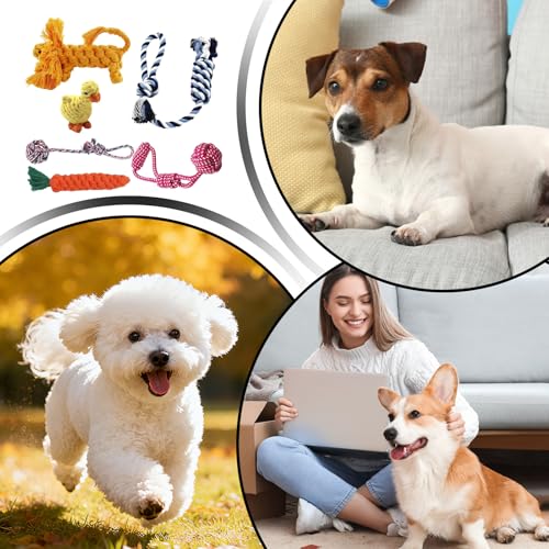 Corde pour chiens : pack de 6 jouets interactifs en coton à mâcher - 5