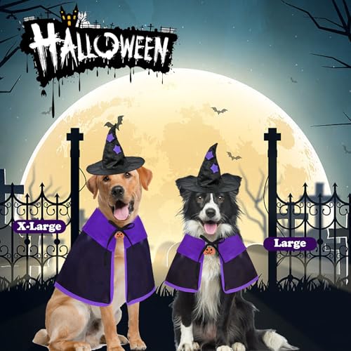 Disfraz de Bruja para Perro Grande X-Large Halloween miniatura 6
