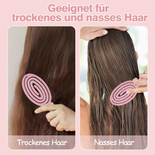 2 Stück Detangler Bürste,Bio Haarbürste ohne Ziepen für Damen, Herren & Kinder,Entwirrbürste Lange Haare mit Flexibler Spiralfeder,Kopfhaut Massagebürste