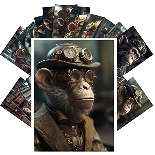 PIXILUV re[W|XgJ[h (e4C`×6C`) ʔX`[pN Xq Be[W|XgJ[h g O[eBOJ[h { CXg 