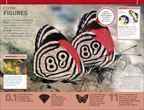 1,000 Amazing Weird Facts (DK 1,000 Amazing Facts) - Image 5