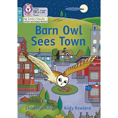 Barn Owl Sees Town