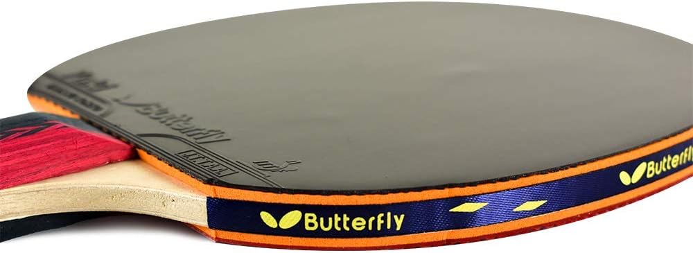 Butterfly B303FL Shakehand Table Tennis Racket - China Series - Racket and Case Set with A Combination Smooth & Pips-Out Rubber - Recommended for Beginning Level Players
