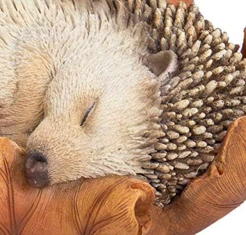 Vivid Arts Baby Hedgehog in Leaf Highly Detailed Home or Garden Decoration (XRL-HH09-F)