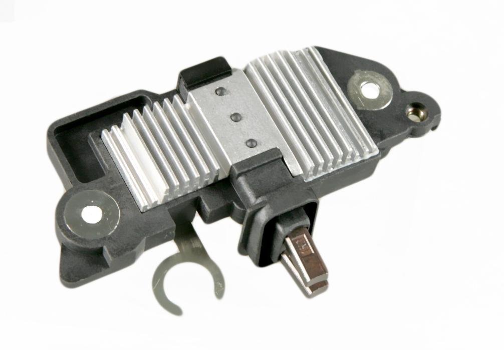 ELENA IACHI BRUINE TEXAANSE LAARS MET FRANJES